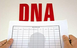 荆门亲子鉴定在哪做DNA检测[免费预约]，荆门亲子鉴定基本流程